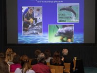 2018MarineMammalConf0099  Florida Marine Mammal Health Conference VI at Sea World Orlando on Wednesday, March 28th, 2018.