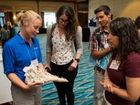 2018MarineMammalConf0173  Florida Marine Mammal Health Conference VI at Sea World Orlando on Wednesday, March 28th, 2018.